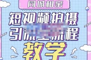 心动学堂·同城相亲短视频矩阵起号-引流-拍摄进阶，带你做好同城相亲，引流全流程教学-麦资源网