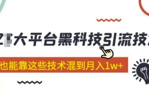 大平台黑科技引流技术，小白也能靠这些技术混到月入1w+(2022年的课程）-麦资源网