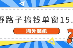（10385期）海外装机，野路子搞钱，单窗口15.8，已变现10000+-麦资源网