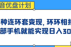 （6800期）影音优盘计划，三种连环套变现，环环相扣，一部手机就能实现日入300+-麦资源网