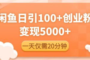 闲鱼引流精准创业粉，每天20分钟，日引流100+，变现5000+-麦资源网