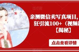 亲测微信卖写真项目，单日疯狂引流100+（视频教程）【揭秘】-麦资源网