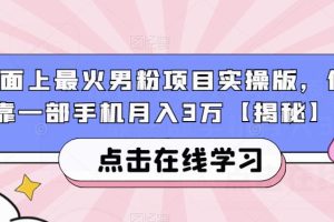 市面上最火男粉项目实操版，仅靠一部手机月入3万【揭秘】-麦资源网