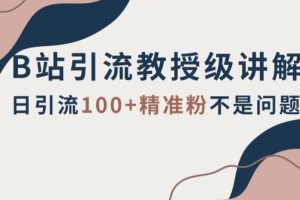 B站引流教授级讲解，细节满满，日引流100+精准粉不是问题【揭秘】-麦资源网