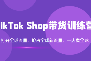 (3342期)TikTok Shop带货训练营,打开全球流量,抢占全球新流量 一店卖全球(第14期)-麦资源网