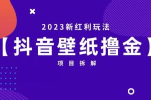 抖音壁纸小程序创作者撸金项目，2023新红利玩法【项目拆解】-麦资源网