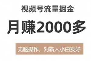 视频号流量掘金，无脑操作，对新人小白友好，月赚2000多【揭秘】-麦资源网