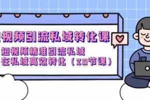 短视频引流私域转化课,短视频精准引流私域,在私域高效转化(20节课)-麦资源网
