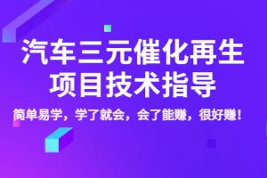 （3746期）汽车三元催化再生项目技术指导，简单易学，学了就会，会了能赚，很好赚！-麦资源网