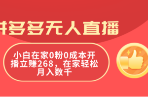 （11521期）拼多多无人直播，小白在家0粉0成本开播立赚268，在家轻松月入数千-麦资源网