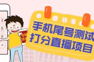 最新抖音爆火的手机尾号测试打分无人直播项目，轻松日赚几百+【打分脚本+详细教程】-麦资源网