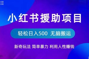 小红书援助项目新奇玩法，简单暴力，无脑搬运轻松日入500【揭秘】-麦资源网