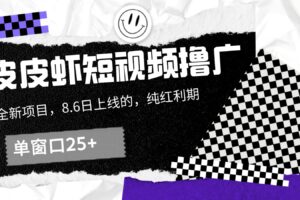 皮皮虾短视频撸广，单窗口收益25+！-麦资源网