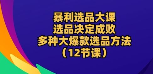 暴利选品大课：选品决定成败，教你多种大*选品方法(12节课)
