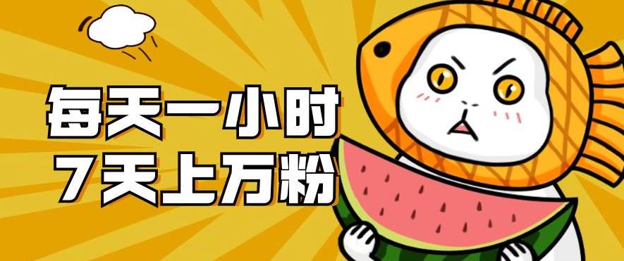 *涨粉项目：每天一小时，七天上万粉【揭秘】