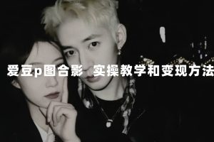 (7558期)最新玩法 与爱豆p图合照爆火 10分钟教会你 实操日入300+-麦资源网