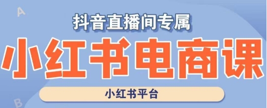 小红书电商*运营课程，实操教学+案例分析