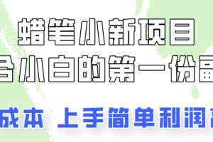 蜡笔小新项目拆解，0投入，0成本，小白一个月也能多赚3000+-麦资源网
