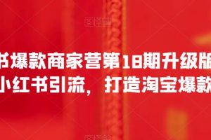 小红书爆款商家营第18期升级版，用小红书引流，打造淘宝爆款-麦资源网