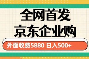 3月最新京东企业购教程，小白可做单人日利润500+撸货项目（仅揭秘）-麦资源网