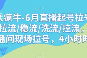 久久疯牛-6月直播起号拉号，拉流/稳流/洗流/控流，​直播间现场拉号，4小时时长-麦资源网