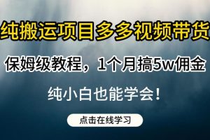 纯搬运项目多多视频带货保姆级教程，1个月搞5w佣金，纯小白也能学会【揭秘】-麦资源网