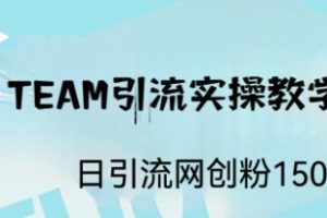 （6578期）ST TEAM引流实操课，日引流网创粉100+-麦资源网