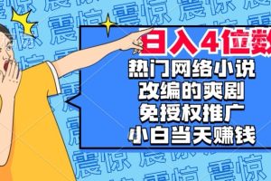 热门网络小说改编的爽剧，免授权推广，新人当天就能赚钱，日入4位数【揭秘】-麦资源网