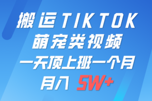 一键搬运TIKTOK萌宠类视频，一部手机即可操作，所有平台均可发布 轻松月入5W+-麦资源网