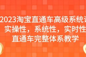 （6535期）2023淘宝直通车高级系统课，实操性，系统性，实时性，直通车完整体系教学-麦资源网