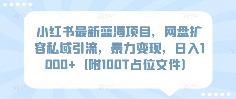 小红书*蓝海项目，网盘扩容私域引流，*变现，日入1000+（附100T占位文件）【揭秘】