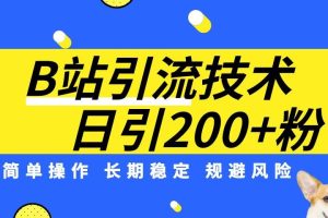 B站引流技术：每天引流200精准粉，简单操作，长期稳定，规避风险-麦资源网