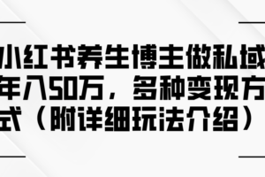 (12619期)小红书养生博主做私域年入50万,多种变现方式(附详细玩法介绍)-麦资源网