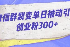 微信群裂变单日被动引流创业粉300【揭秘】-麦资源网