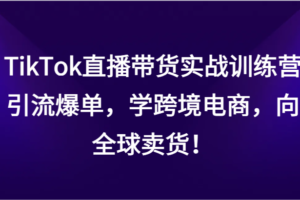 TikTok直播带货实战训练营，引流爆单，学跨境电商，向全球卖货！-麦资源网