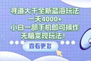 （9479期）寻道大千全新蓝海玩法，一天4000+，小白一部手机即可操作，无脑变现玩法！-麦资源网