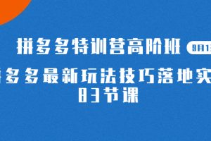 （7295期）2023拼多多·特训营高阶班【9月13日更新】拼多多最新玩法技巧落地实操-83节-麦资源网
