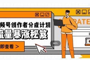 一条视频收益3000+,一条作品涨粉2000+,视频号流量爆炸·的秘籍-麦资源网