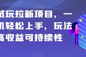 应用试玩拉新项目，一部手机轻松上手，玩法简单高收益可持续性【揭秘】-麦资源网