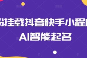 0粉挂载抖音快手小程序，AI智能起名-麦资源网