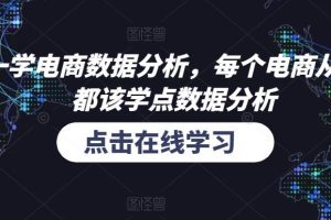 和零一学电商数据分析，每个电商从业者，都该学点数据分析-麦资源网