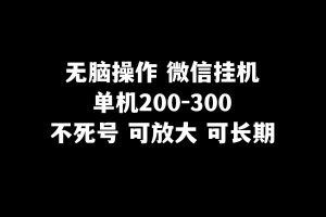无脑操作微信挂机单机200-300一天，不死号，可放大-麦资源网