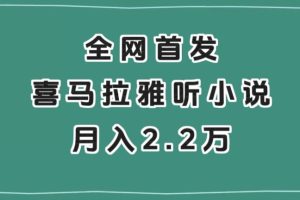 全网首发，喜马拉雅挂机听小说月入2万＋【揭秘】-麦资源网