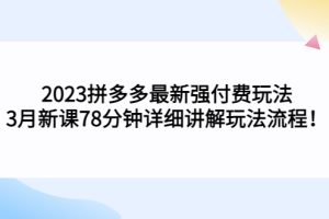 （5260期）2023拼多多最新强付费玩法，3月新课​78分钟详细讲解玩法流程！-麦资源网