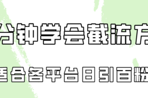 十分钟学会各大平台节流，矩阵日引几百创业粉（像素级教程）！-麦资源网