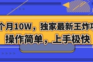 三个月10W，独家最新王炸项目！操作简单，上手极快【揭秘】-麦资源网
