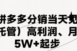 （11091期）最新拼多多模式日入4K+两天销量过百单，无学费、 老运营代操作、小白福…-麦资源网