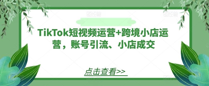 TikTok短视频运营+跨境小店运营，账号引流、小店*