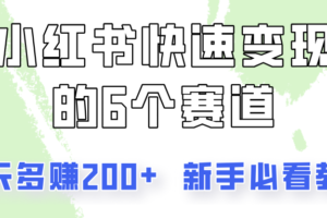 小红书快速变现的6个赛道，一天多赚200，所有人必看教程！-麦资源网