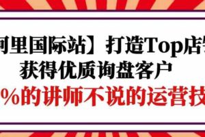 （9976期）【阿里国际站】打造Top店铺-获得优质询盘客户，95%的讲师不说的运营技巧-麦资源网